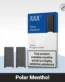 Polar Menthol Juul 2 Pods