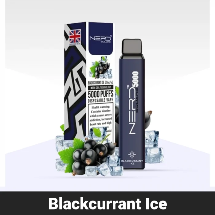 Nerd Square 5000 Blackcurrant Ice Disposable Vape