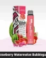 Nerd Square 5000 Strawberry Watermelon Bubblegum